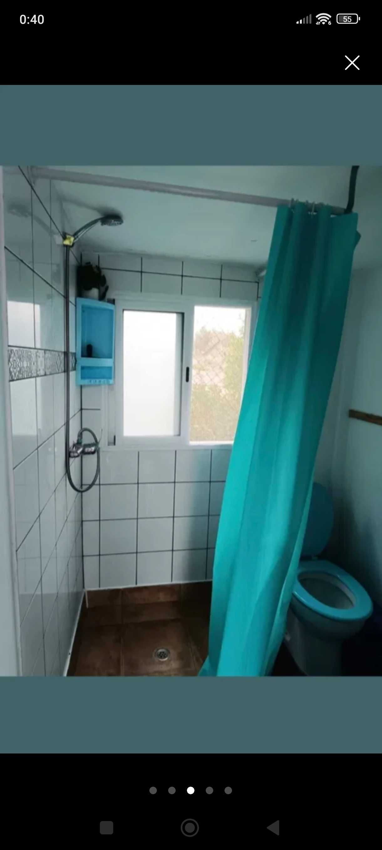 Um container/contentor e uma casinha/casota de madeira na venda