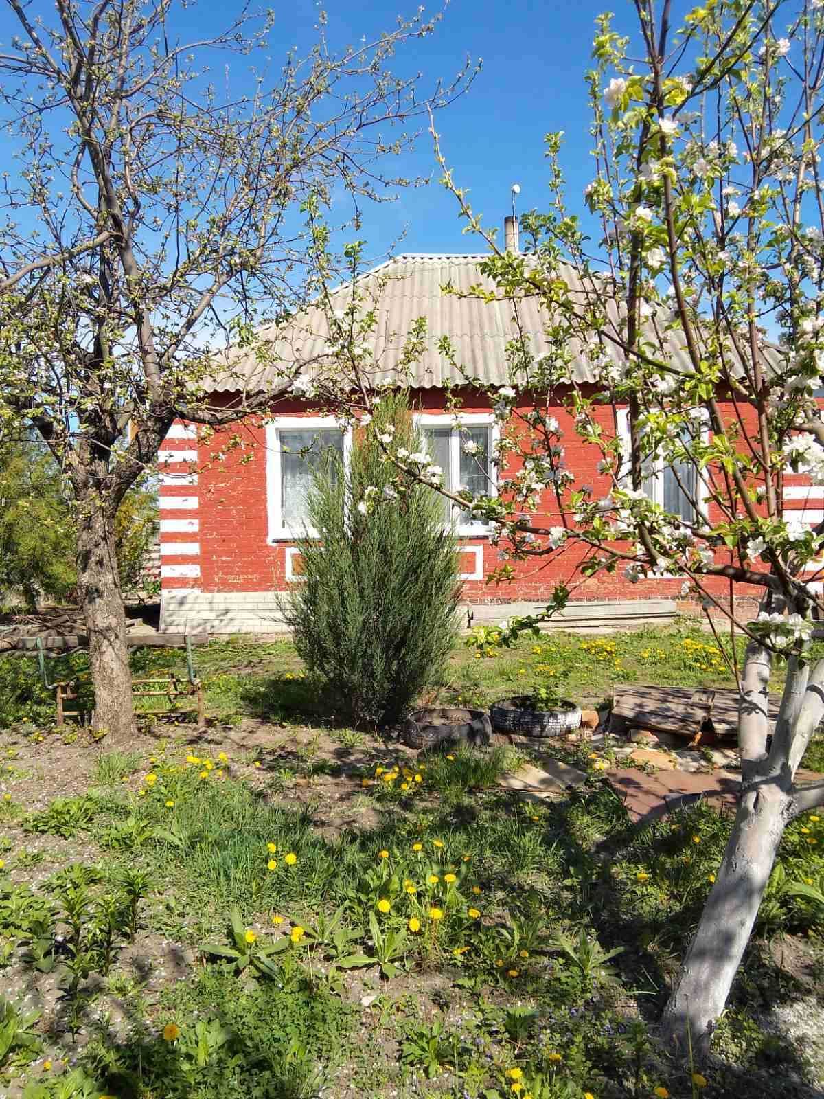 Продам будинок в смт Печеніги