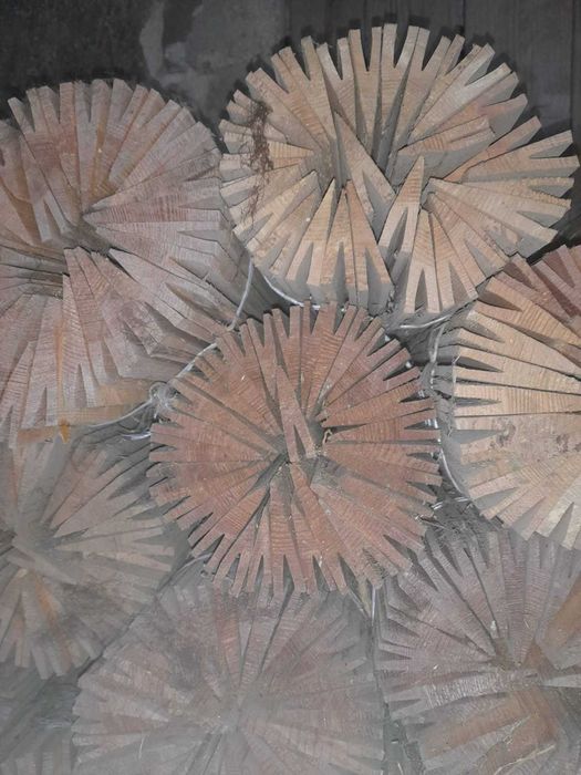 gont świerkowy- okazja