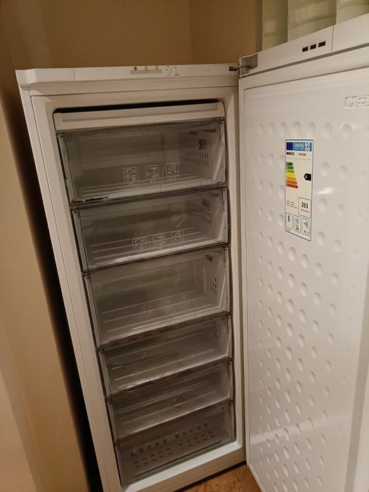 Морозильна камера BEKO  FS 225300