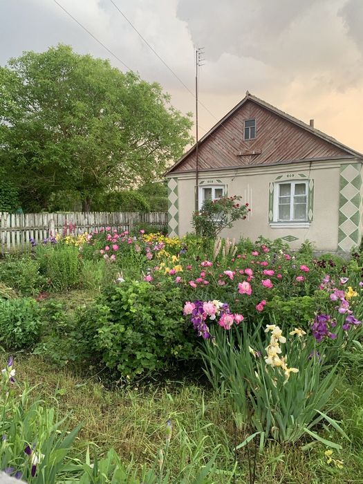 Продам будинок в с.Великі Мошківці з землею 0,75га
