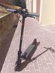 Trotine Sunnigoo