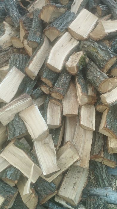 Дубові, Береза або Вільха