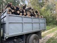 Дубові дрова