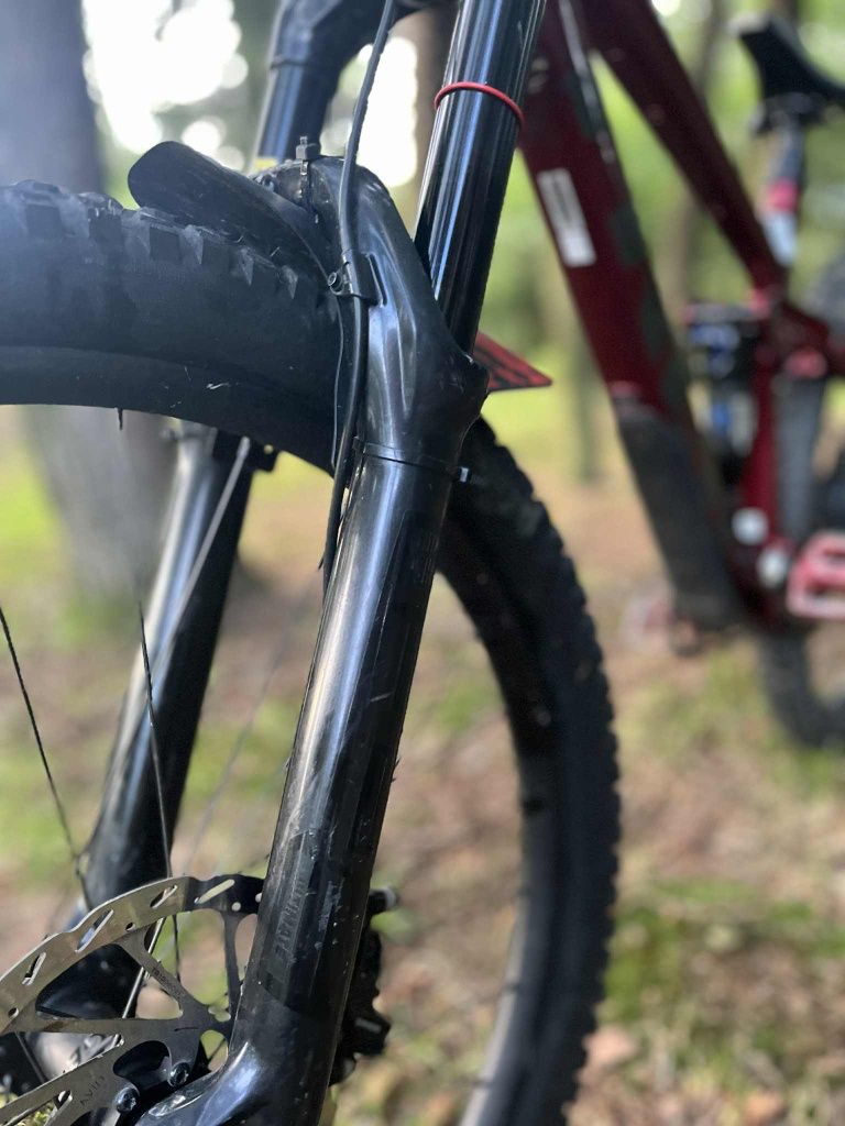 TREK remedy 7 2021