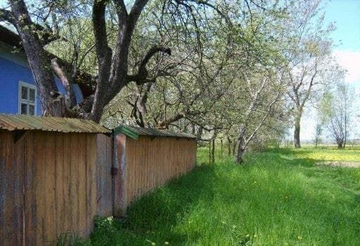Господарство (будинок і присадибна ділянка площею 0,50га. )