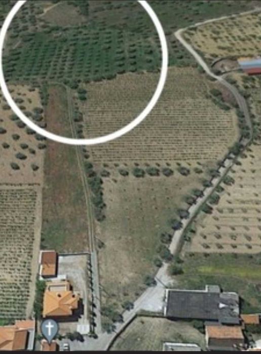 Venda Terreno Agrícola