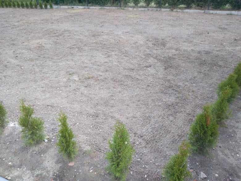 Usługi ogrodnicze koszenie trawy przycinanie żywopłotu drzew, sadzenie