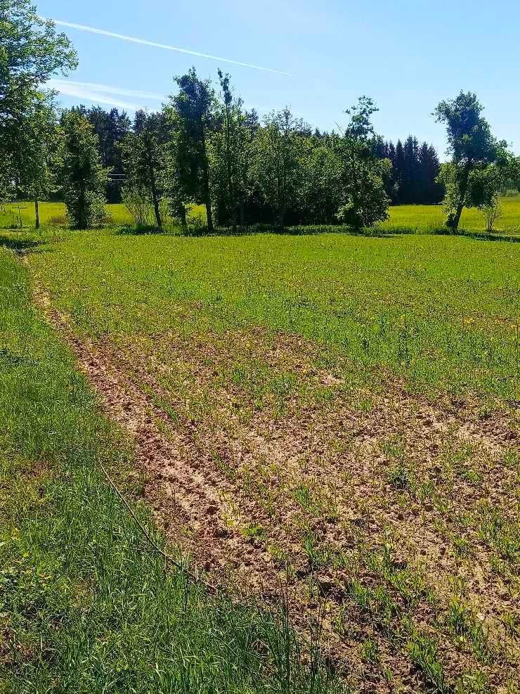 Sprzedam działki budowlane na Mazurach