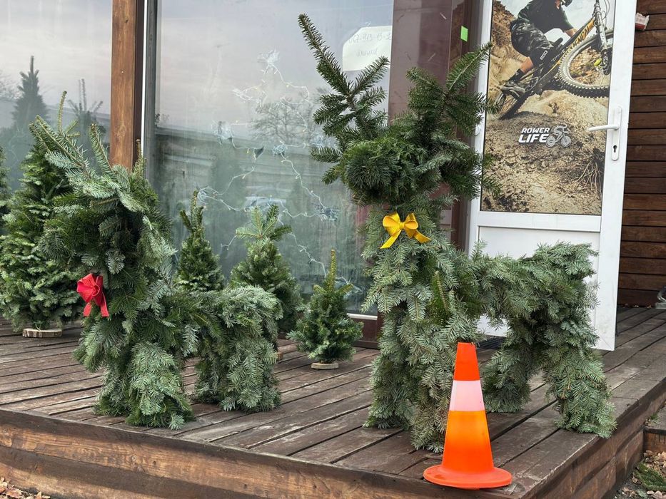 Ялинки плетені карпатські