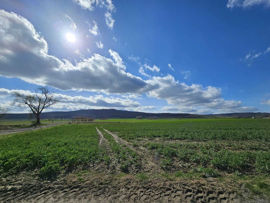 Działka budowlana Męcinka