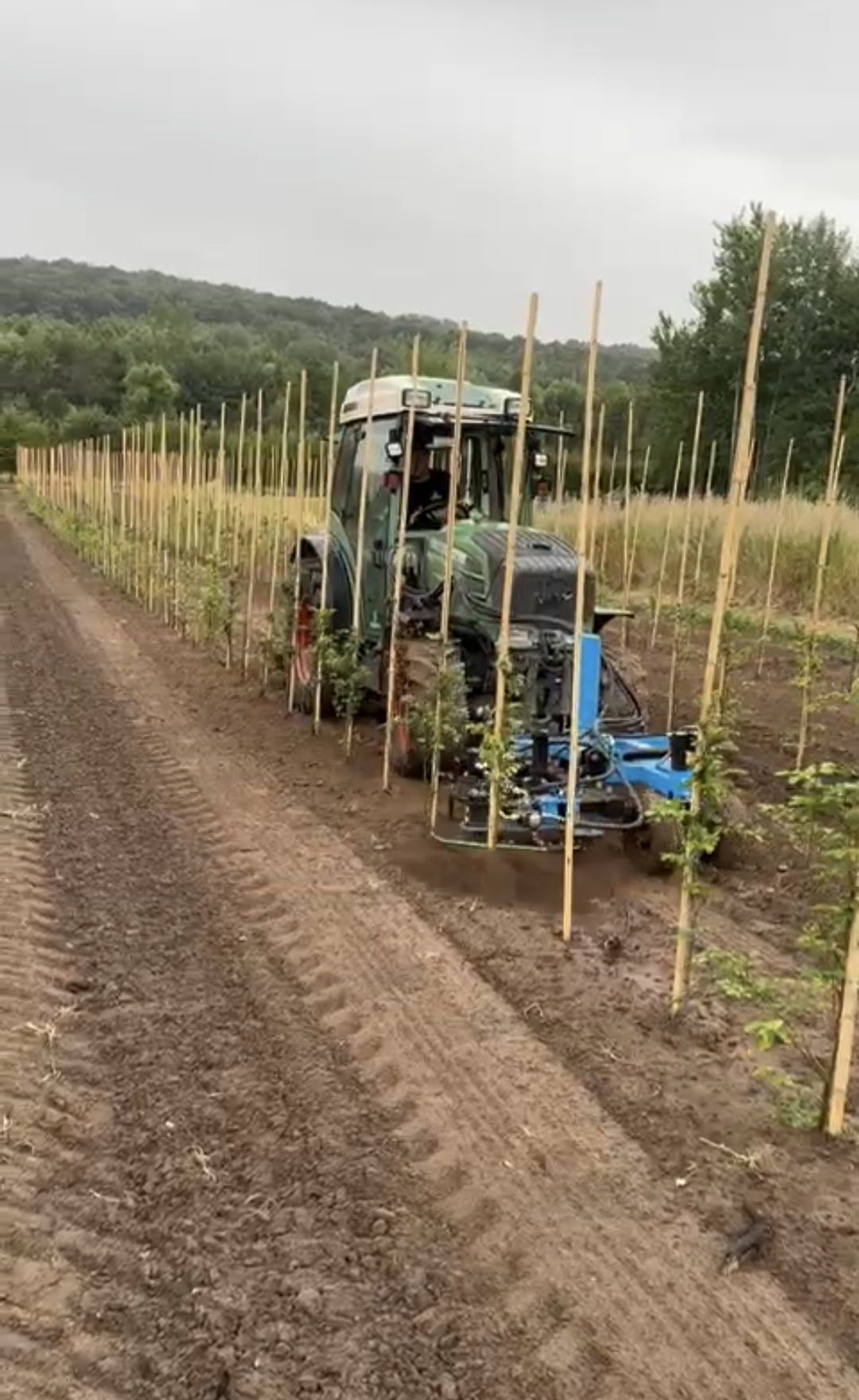 Pielnik automatyczny- aktywny - eko - do Sadów, Winnic  - Nowy