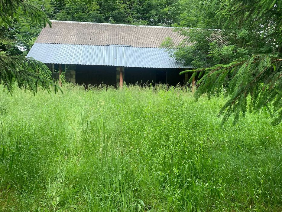 Siedlisko z gruntami ornymi