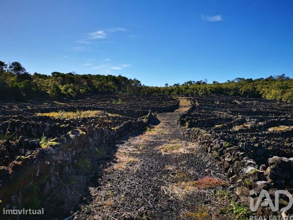 Terreno em Madalena de 20010,00 m2