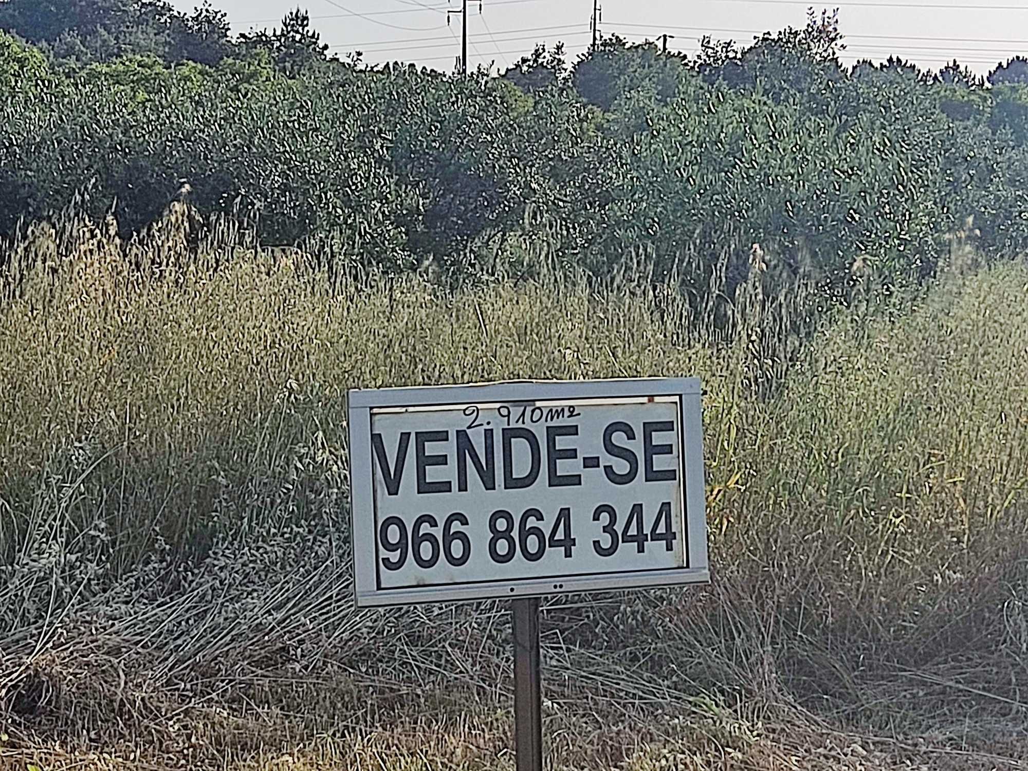 Terreno com 2900m2