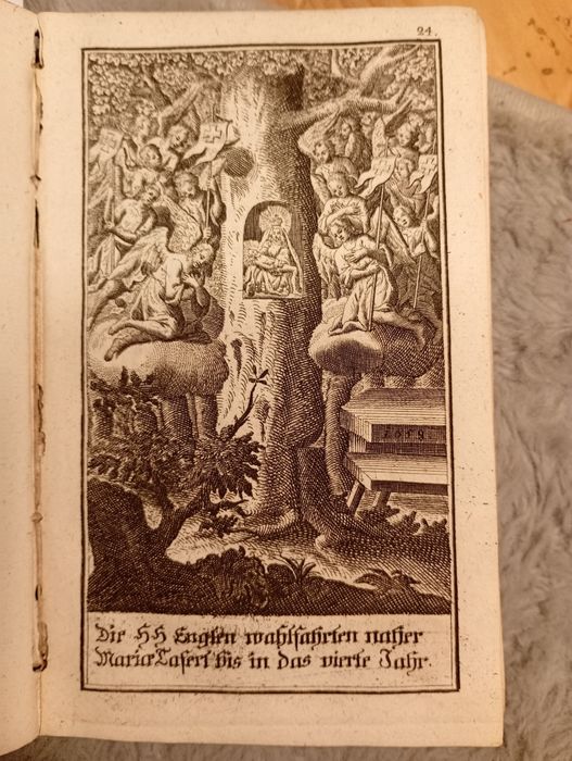 Starodruk 1748 Austriacka Góra Miry - Sanktuarium Maria

Laferl - Mary