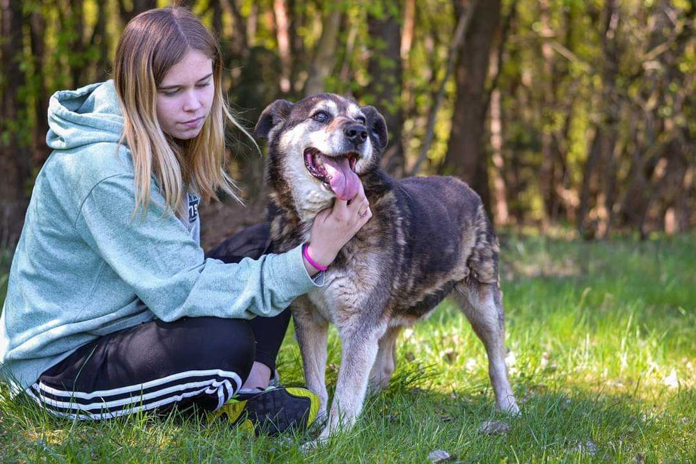 Daddy - towarzyski ze stabilnym charakterem