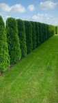 Trawniki - Glebogryzarka - Wyrównywanie - Nawadniania - SMART GARDEN