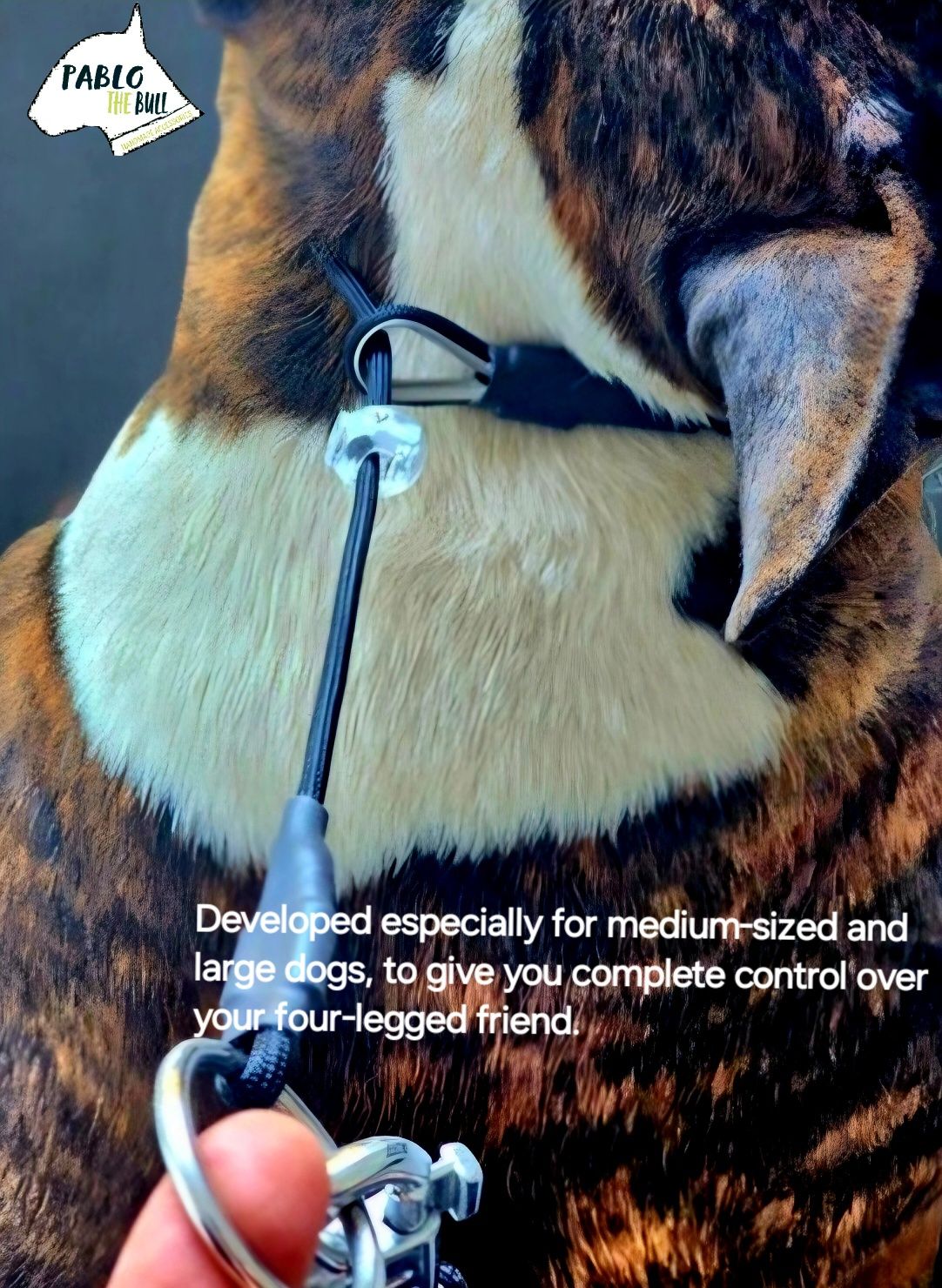 Coleira de treino cão Anti puxão  Obediencia canina adestramento Pet