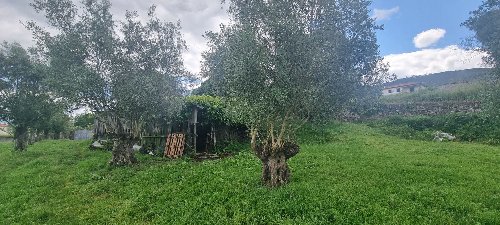 Quinta do Carvalhal