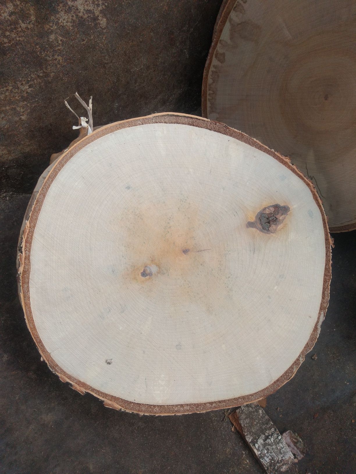 WYPRZEDAŻ Plastry drewna brzozowego bez kory, szlif 20-23 cm