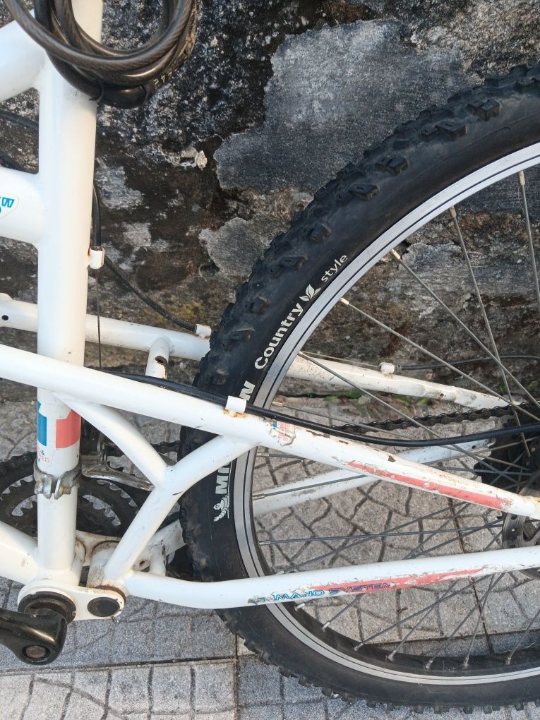 Bicicleta da maraca TEAM