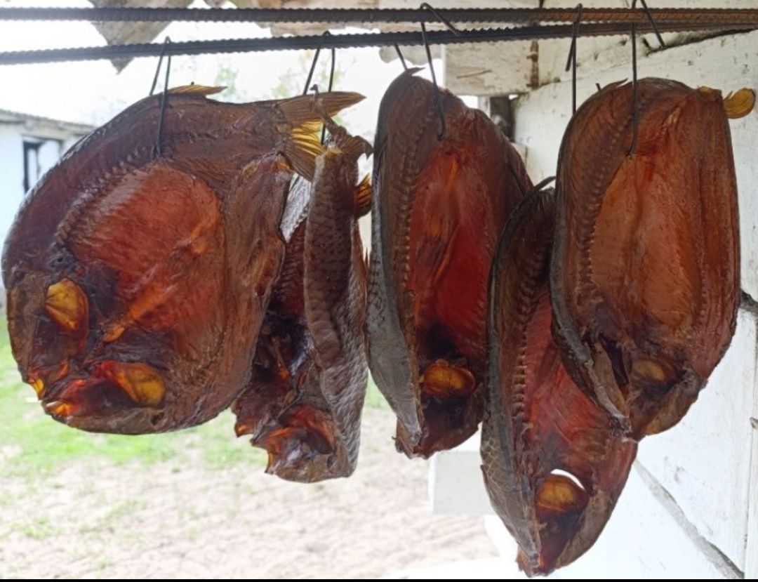 Риба сушена в печі, печена, копчена, в'ялена