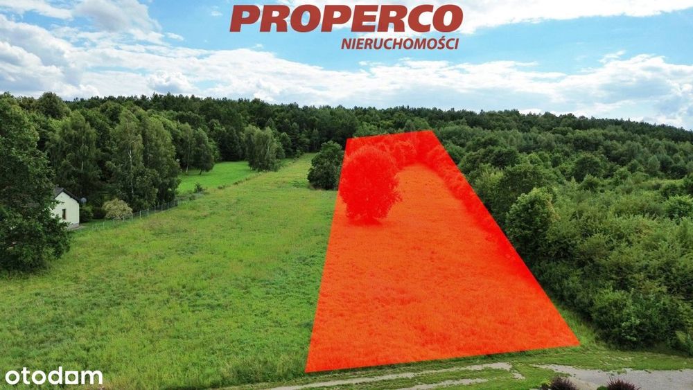 Dzialka, pow. 1678 m2, Jaworznia, gm. Piekoszów