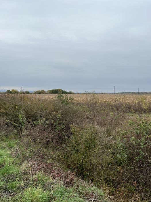 Продаються земельні ділянки