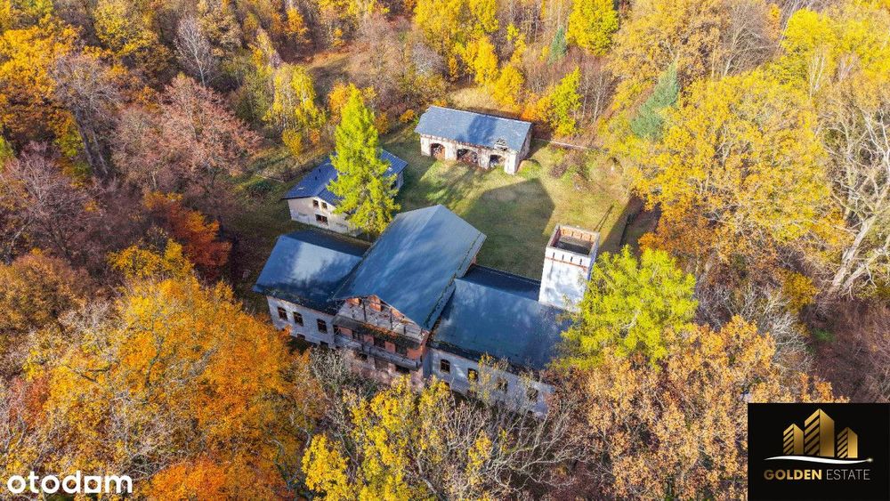 Historyczny pałac na sprzedaż!