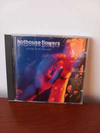 CD Hothouse flowers