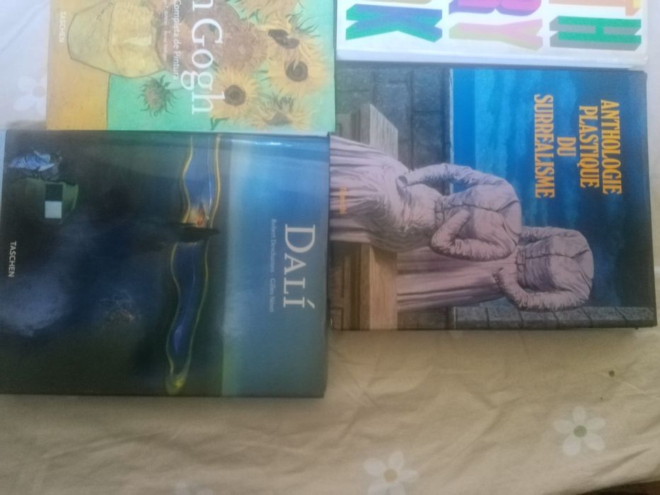 7 livros de arte