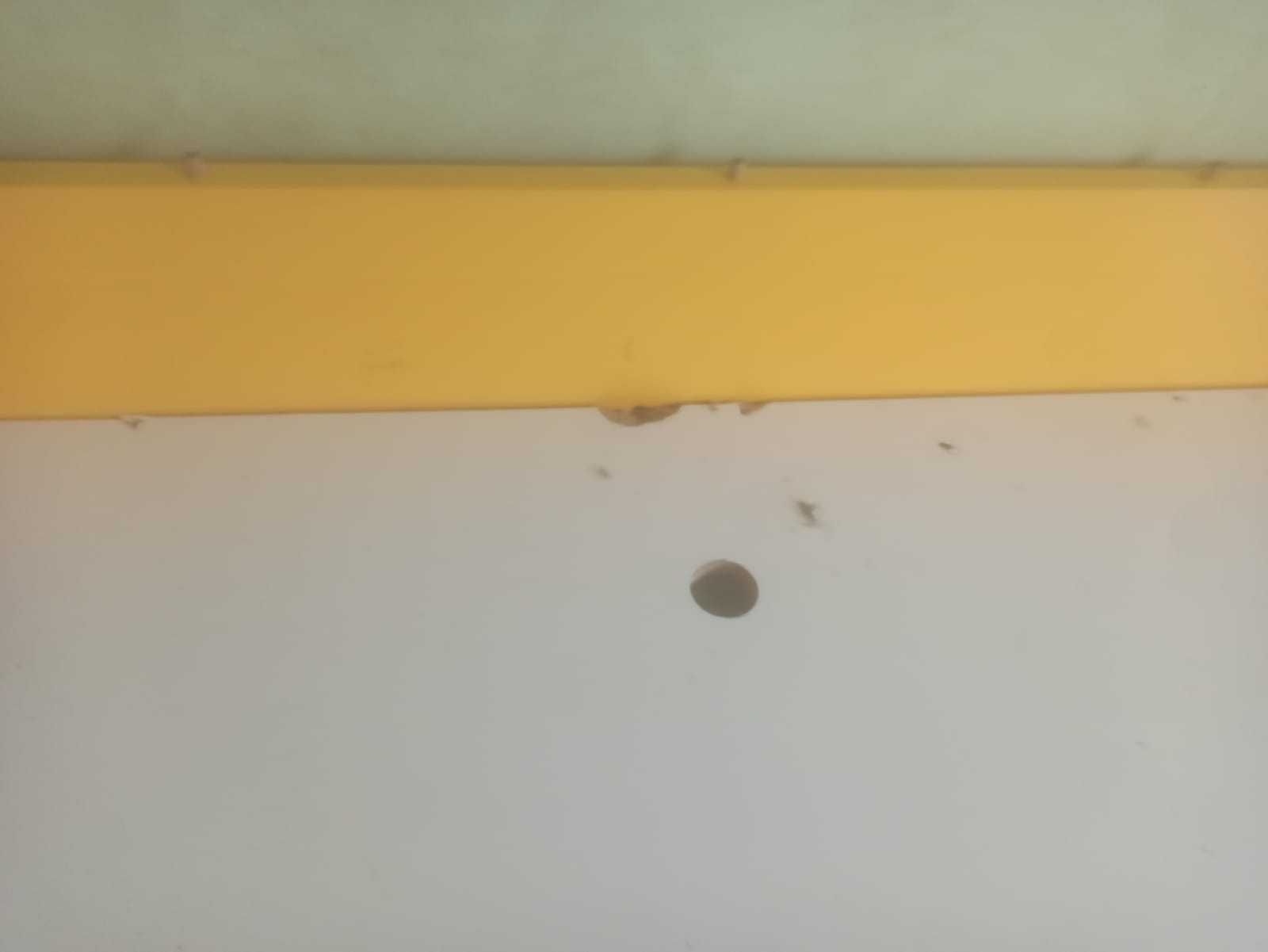 Szafa i łóżko młodzieżowe biurko zestaw
