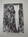 Gravity's Rainbow - Thomas Pynchon (inglês)
