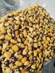 Mix ziaren Kukurydza/Rzepik - gotowa zanęta na ryby - 1 kg