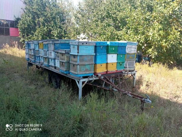 Продам пчеловодческую платформу площадка прицеп для ульев