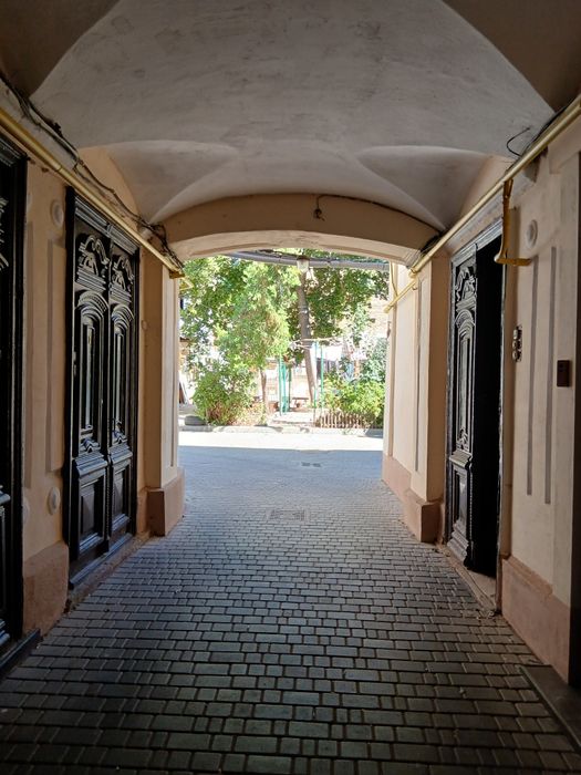 Продам! 2х.к ул КУЗНЕЧНАЯ / Л.Толстого 56м. Можно под офис или бизнес!