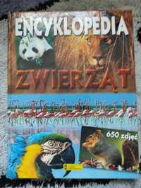 Encyklopedia zwierząt dla dzieci duża gruba 300 stron