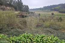 Terreno  para venda