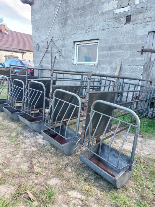 Klatki dla świń macior