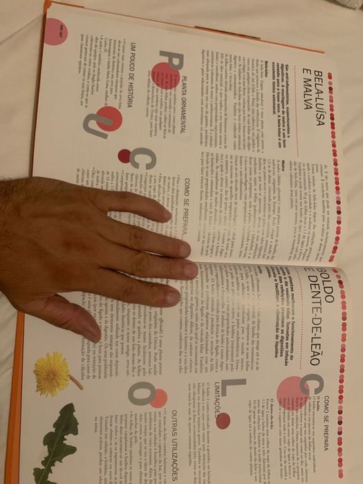 O grande livro dos alimentos - volume 2