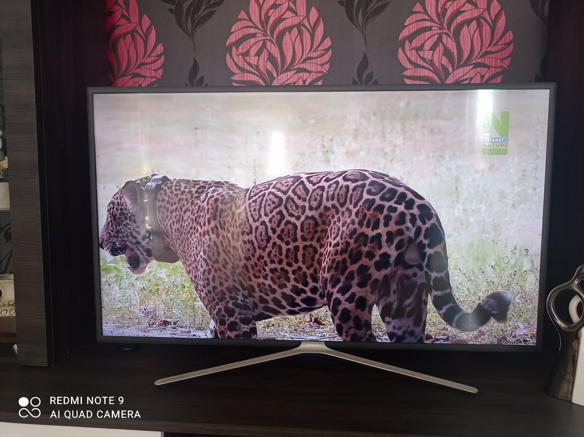 Sprzedam telewizor 49cal Samsung piękne kolory.