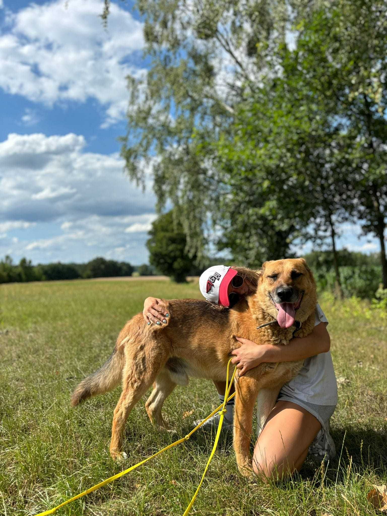Amigo szuka kompana któremu odda swoje serducho i go nie zawiedzie