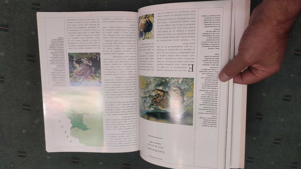 Anfíbios e Répteis do Parque Natural da Serra de S. Mamede