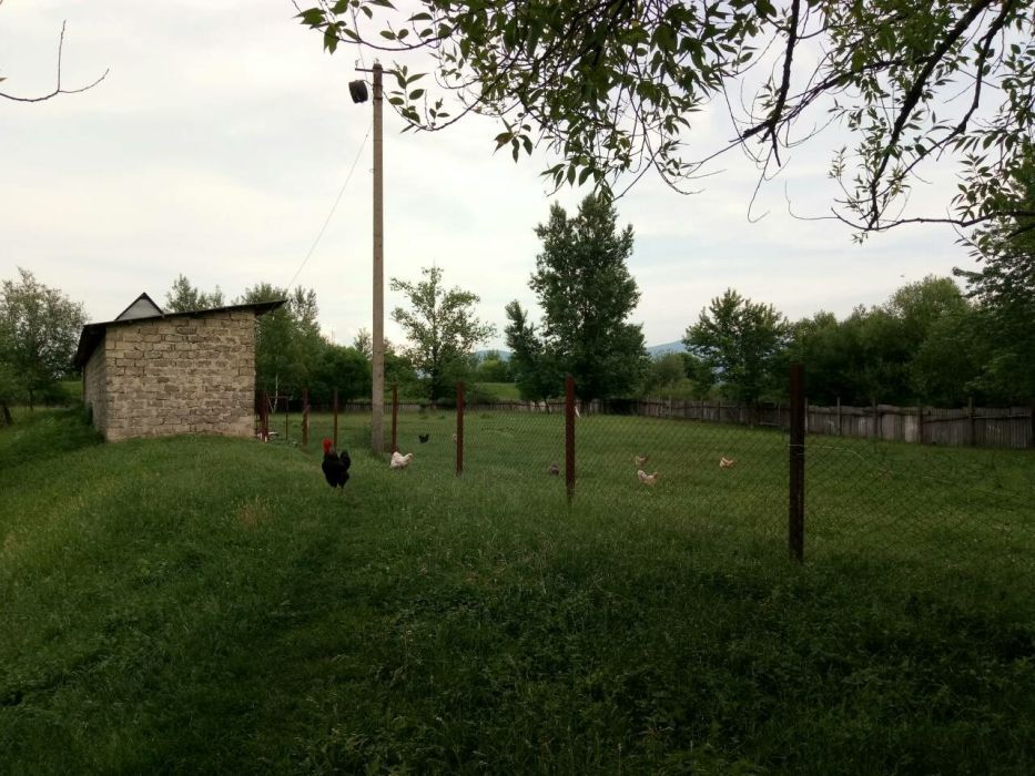 Участок 200 соток с жилым домом, хоз. постройками и озером!