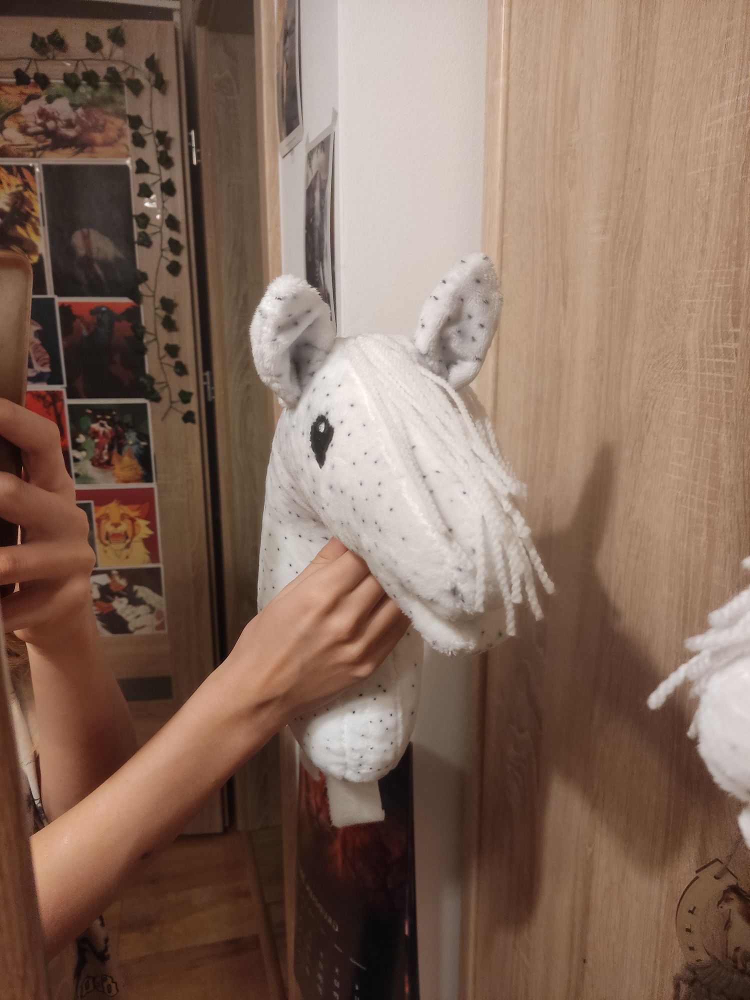 Taranowaty Hobby horse