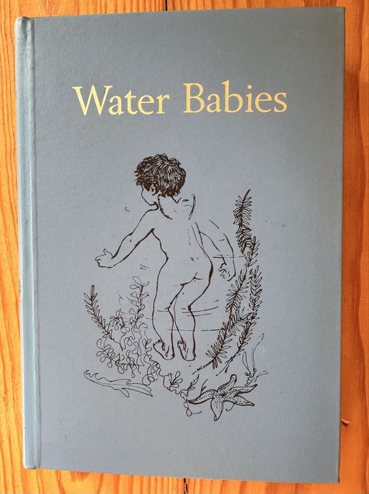 Colecao de livros super decorativos da Caxton Junior Classics novos