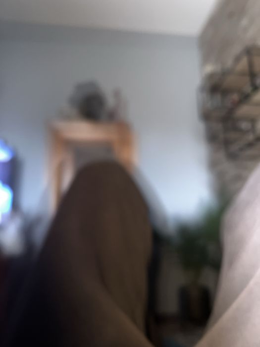 Sapatilhas cavalinho