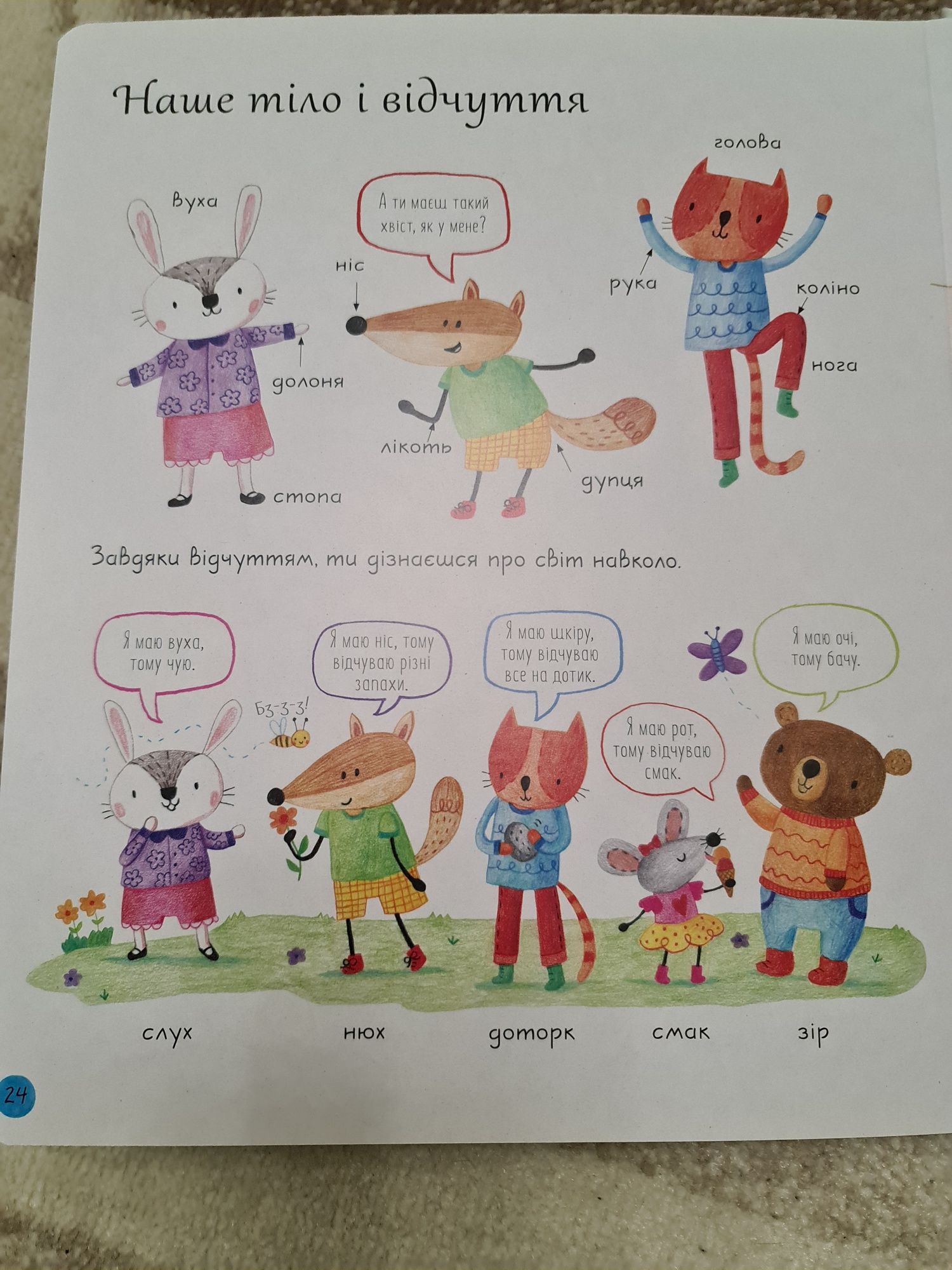 Книга - ілюстрована, кольорова підготовка дітей  до школи