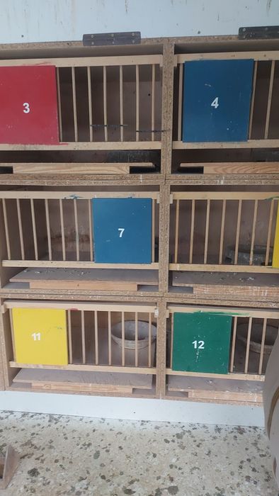 Cele lęgowe dla gołębi